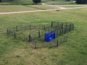 cattle handling equipment and fencing