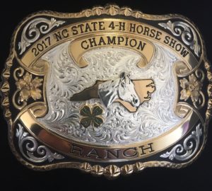 Cover photo for 2017 NC State 4-H Horse Show Class Results and Champions