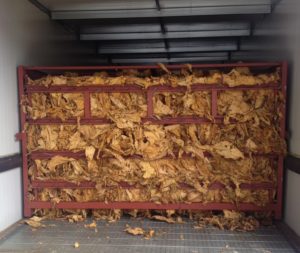 Cover photo for Tobacco Curing Management Before & After the Storm