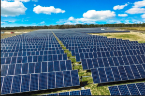 Picture of a Solar Farm