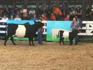 Cover photo for Catawba Valley Beef Expo