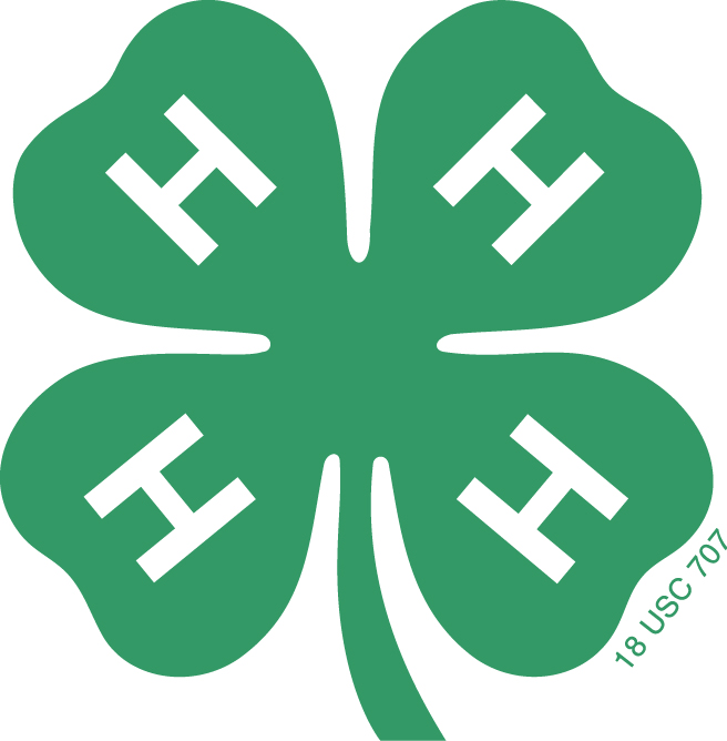 4-H Green Four Leaf Clover with the capital letter H in white on each clover leaf
