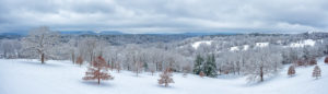 Outside landscape view in Asheville, NC at The Biltmore Estate of Mountain slopes of snow with various trees covered with snow on the branches, a cloudy sky, and more mountains in the distant background