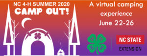 Cover photo for Youth Invited to 4-H Summer Camp Out