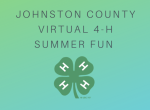 Cover photo for Johnston County 4-H Summer Fun Registration