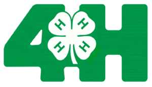 Cover photo for Perquimans County 4-H Needs Assessment