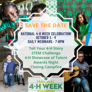 Cover photo for National 4-H Week - 2020 Opportunity4All