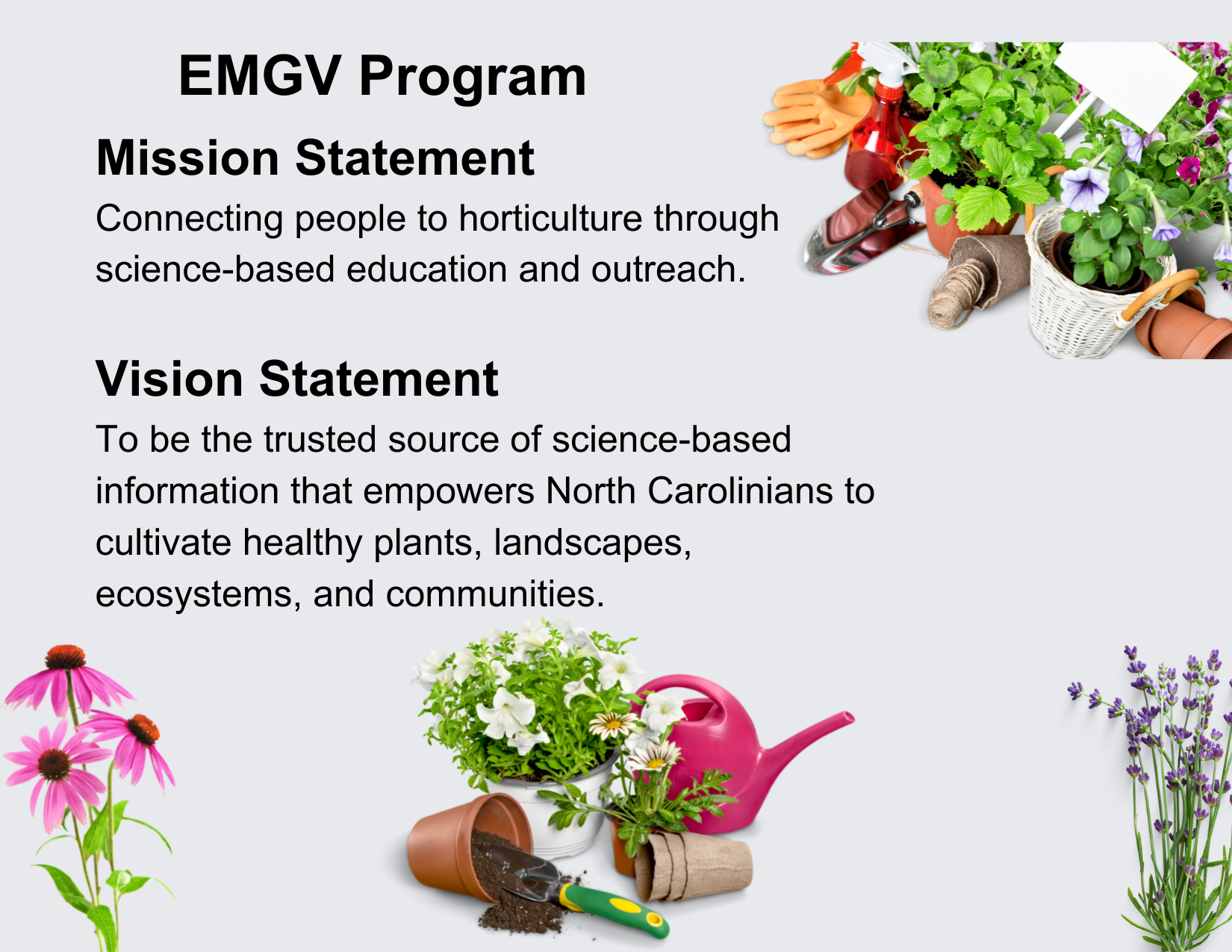 EMGV Program Mission Statement and Vision Statement 
