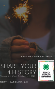 Close Up of Girl holding Sparkler as background. Asking for 4-H Alumni to share their 4-H Story about how they found their Spark in 4-H.