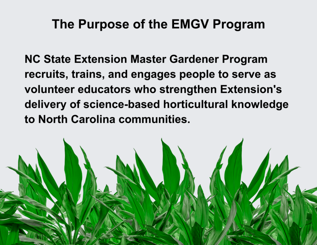 The Purpose of the EMGV Program