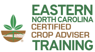 Logo for Eastern North Carolina CCA