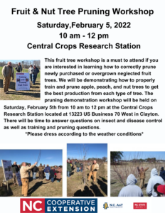 flyer of the fruit and nut tree pruning workshop with same information that is listed in article and pictures from past events