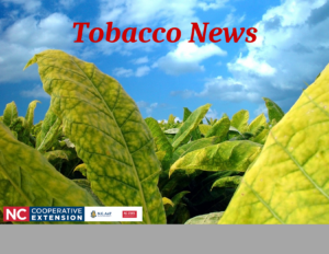 tobacco plants with blue sky background with Tobacco News in red and Cooperative Extension Logo at bottom left side