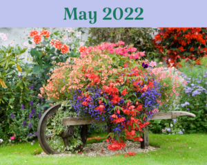 May 2022 with flowers