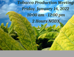 Tobacco Production Meeting