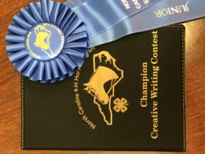 Cover photo for 2022 NC 4-H Horse Program Creative Writing Results