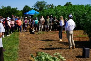 People standing in a fiber hemp field listening to a speaker