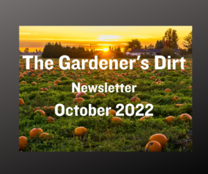 pumpkin field with wording for The Gardener's Dirt Newsletter for October 2022