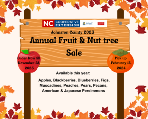 Orange, yellow and maroon maple leaves border the tan background with a wooden sign that states Annual Fruit and Nut tree sale.