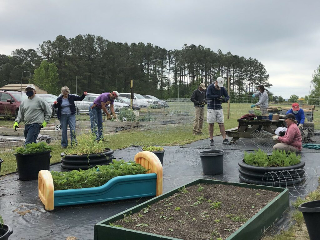 People standing near raised garden beds 