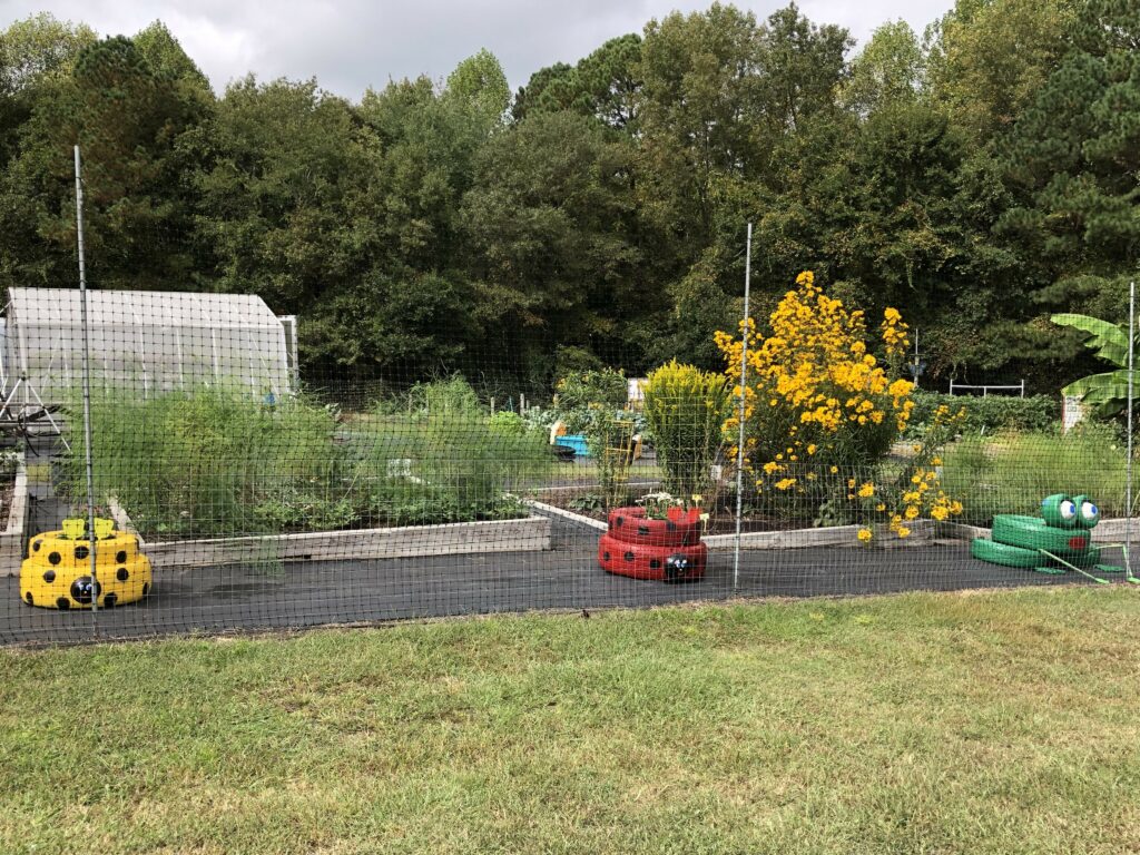 Clayton Community Garden raised beds with ladybug tire beds