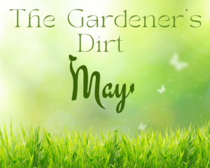 Green grass with words The Gardener's Dirt May