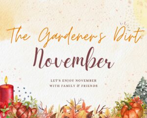 Tan background with pumpkins and fall foliage. The Gardener's Dirt November.