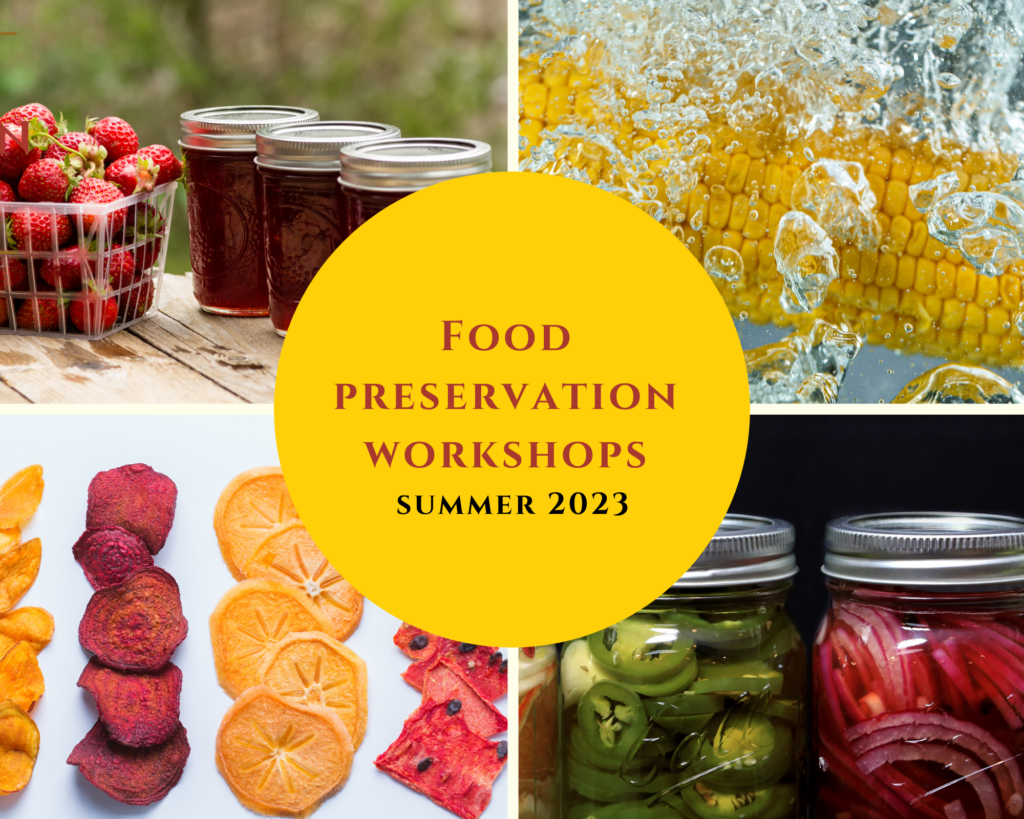 canned and fresh strawberries, corn on the cob in boiling water, dehydrated fruits, canned jalapeños, canned onions, food preservation workshops summer 2023
