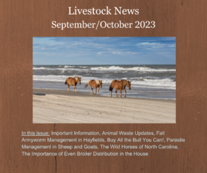 Cover photo for September/October Livestock News