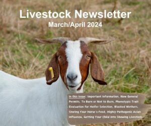 Cover photo for March/April 2024 Livestock News