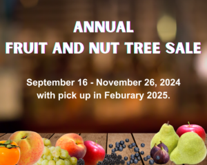 apple, blackberry, persimmon, pear, peach on wood with Fruit and nut tree sale dates