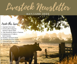 Livestock Newsletter cover photo of a brown cow in a pasture. The cow is standing near the fence line. There is a view in the distance and a tree overhanging.