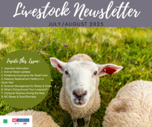 Cover photo for July/August 2025 Livestock News