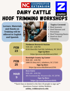 Cover photo for Dairy Cattle Hoof Trimming Workshops